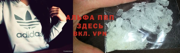 индика Нязепетровск